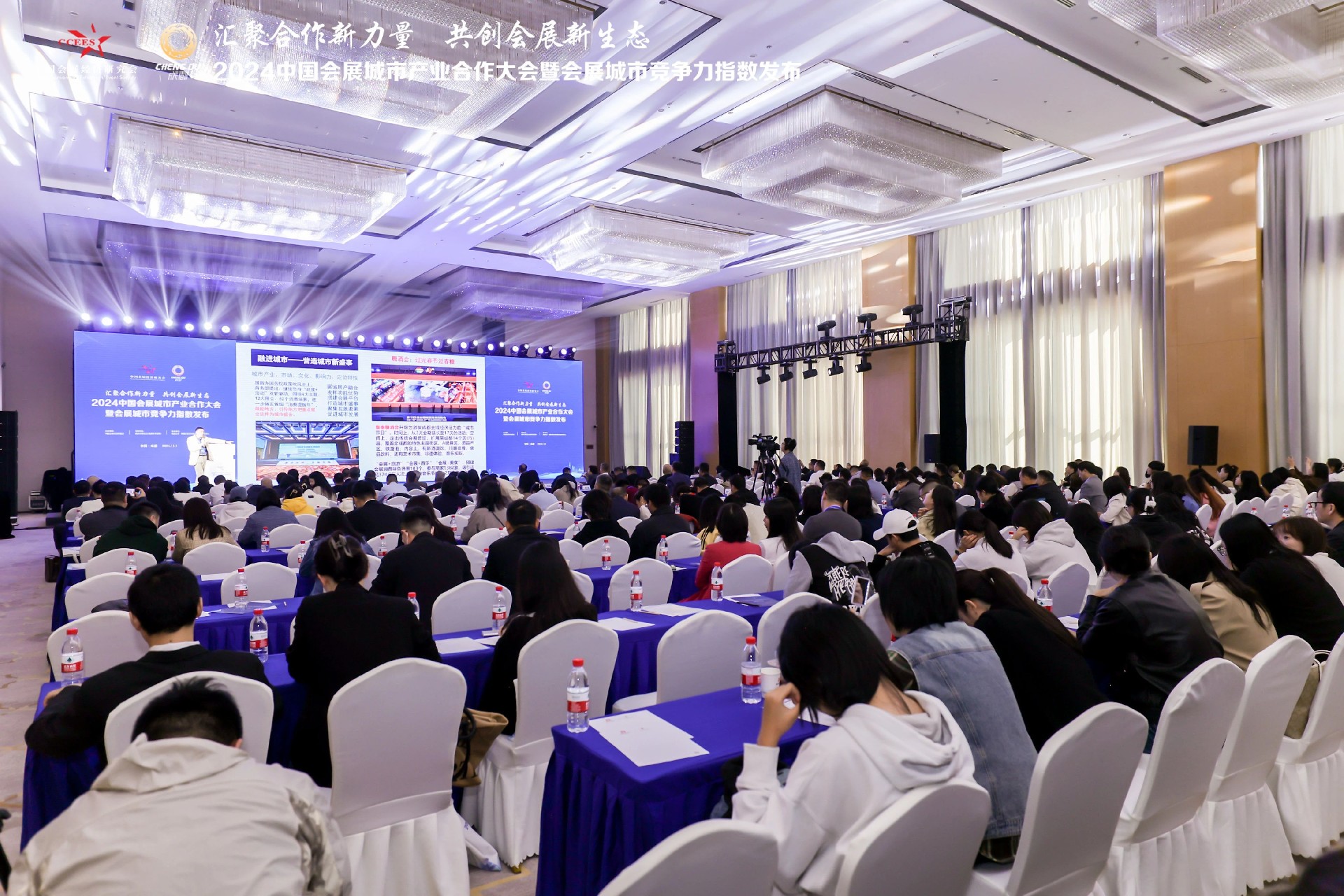 cbcb783efe6080d2bde6d735c2001fe2.jpg