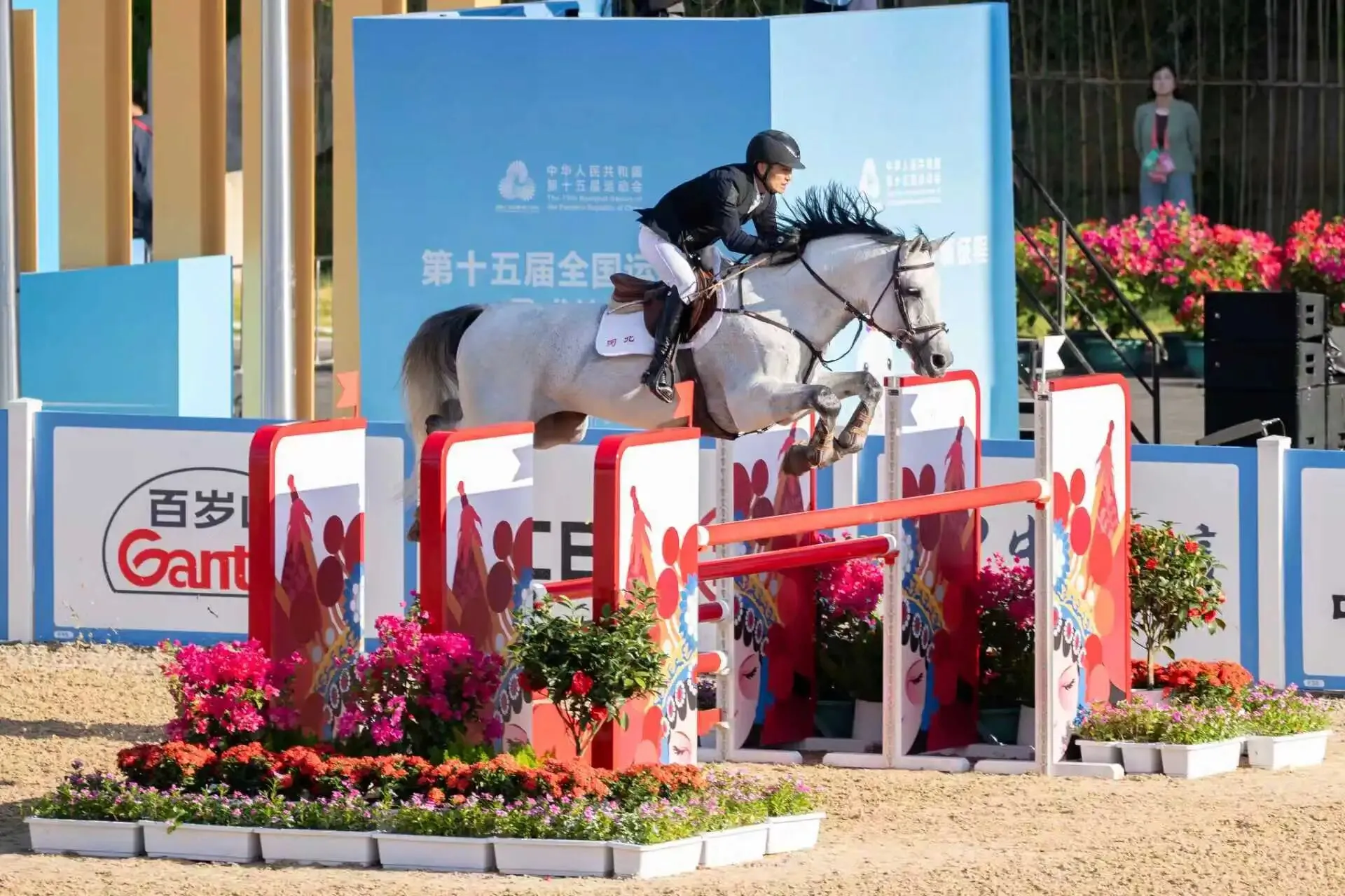 ef243be977bf3988101e9ab1fe8c540b